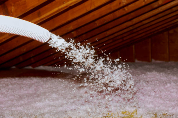 Best Attic Insulation Installation  in Pagould, AR